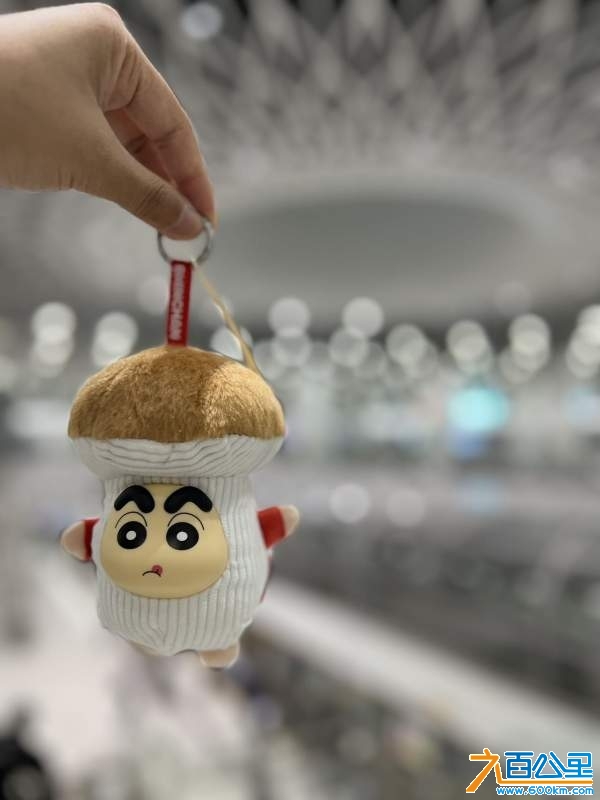 wechat_upload17338791126758e548c6390