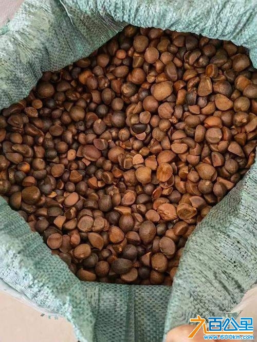 wechat_upload1734157845675d26158b7f1