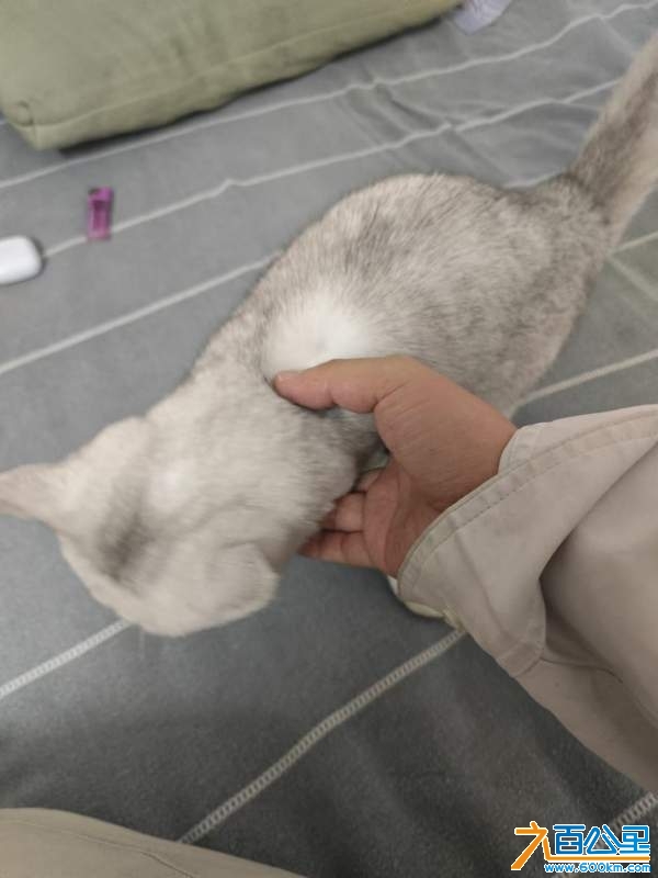 wechat_upload1737158466678aef42ae056