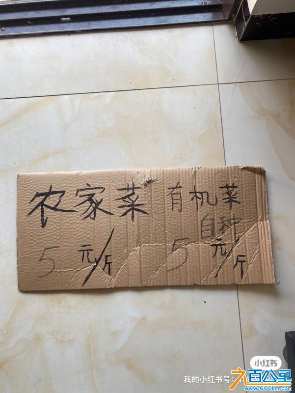 wechat_upload1737164762678b07da8e644