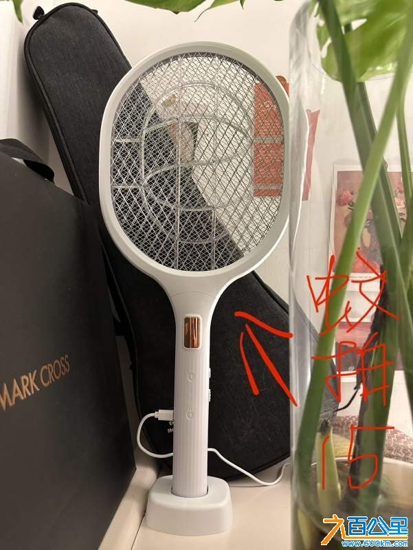 wechat_upload1737436445678f2d1de3e20
