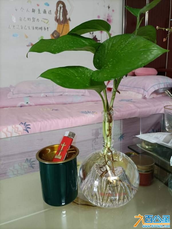 wechat_upload173979868767b3389f98d86