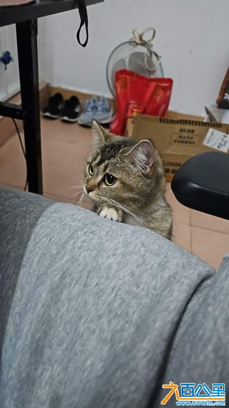 wechat_upload174083586467c30c185547f