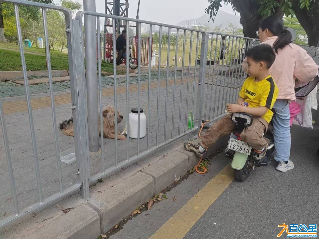 wechat_upload174485022868004d341eebd
