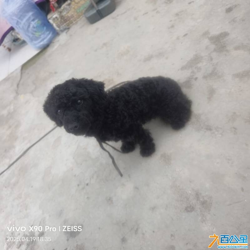 wechat_upload1745061127680385073fced