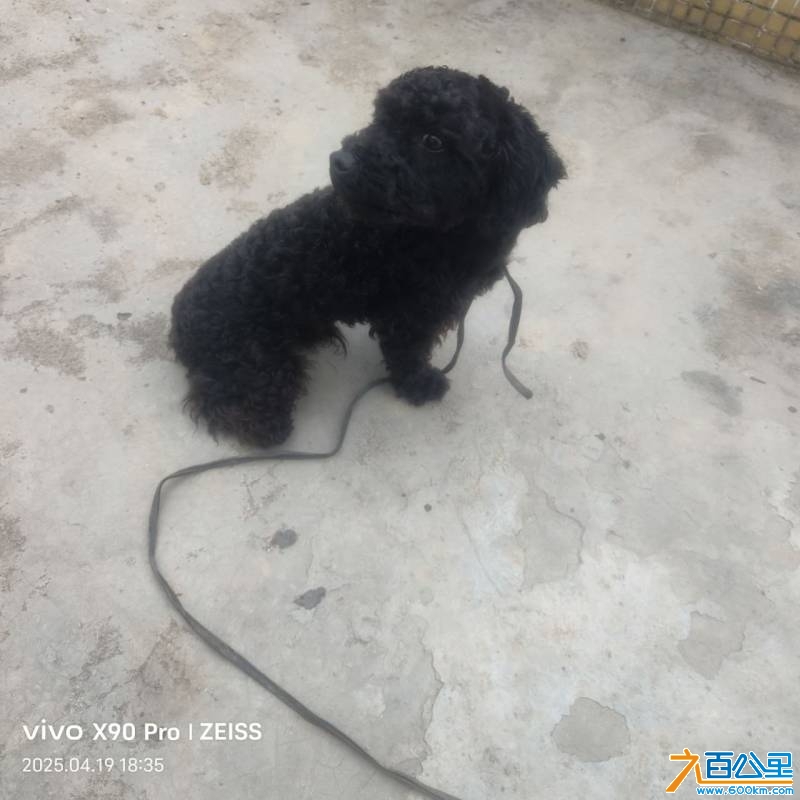 wechat_upload174506112868038508ae405