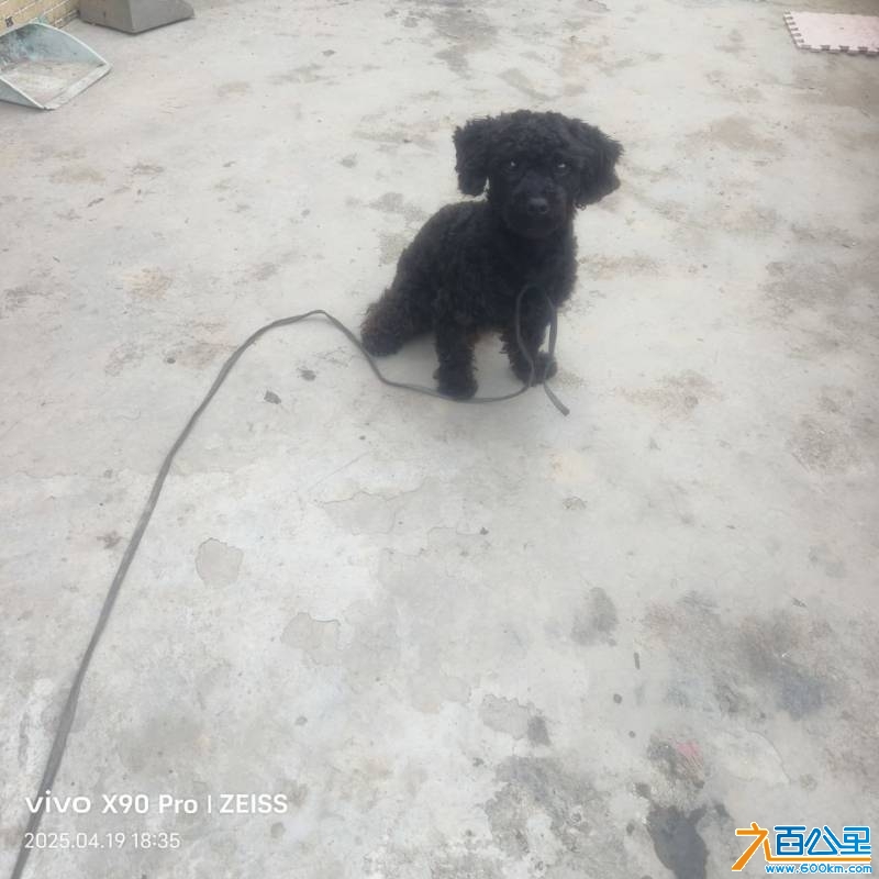 wechat_upload17450611506803851e43a7a
