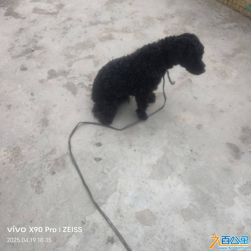 wechat_upload17450611646803852c07911