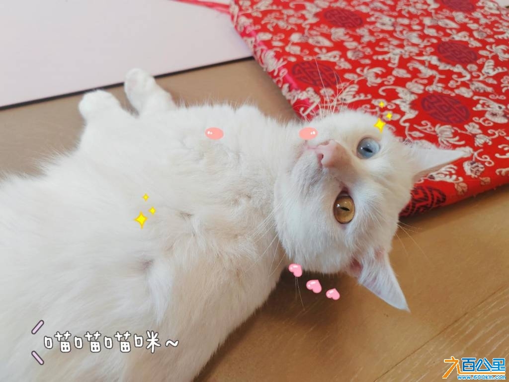 wechat_upload17473043856825bfc176b2f