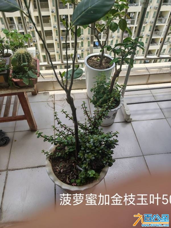 wechat_upload174745512568280c956ad9c