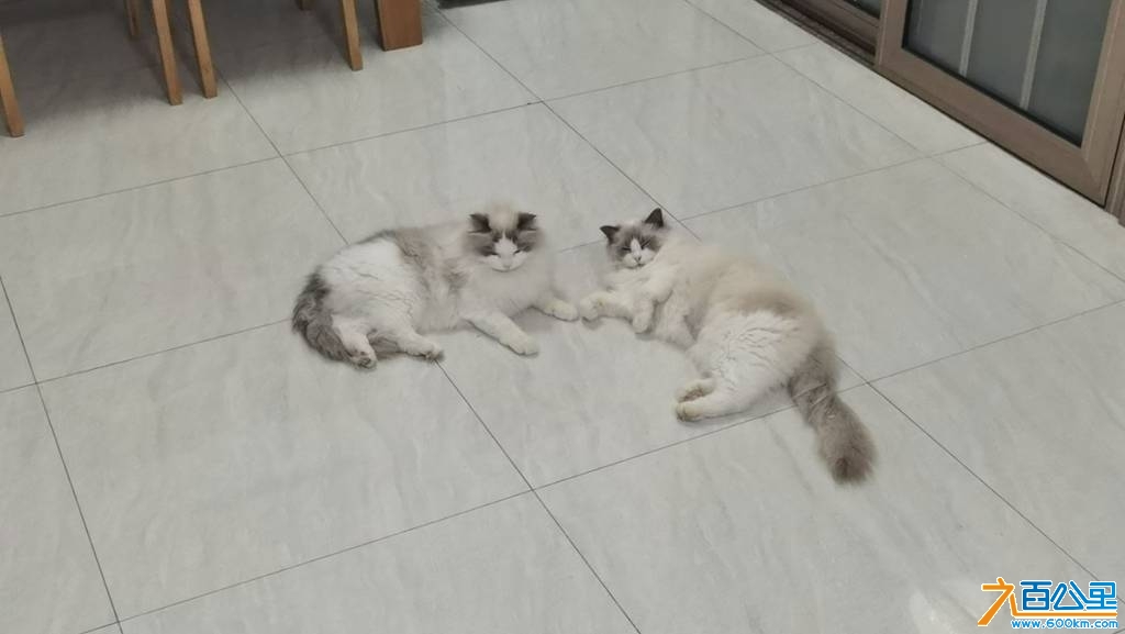 wechat_upload1747746565682c7f0564b3b