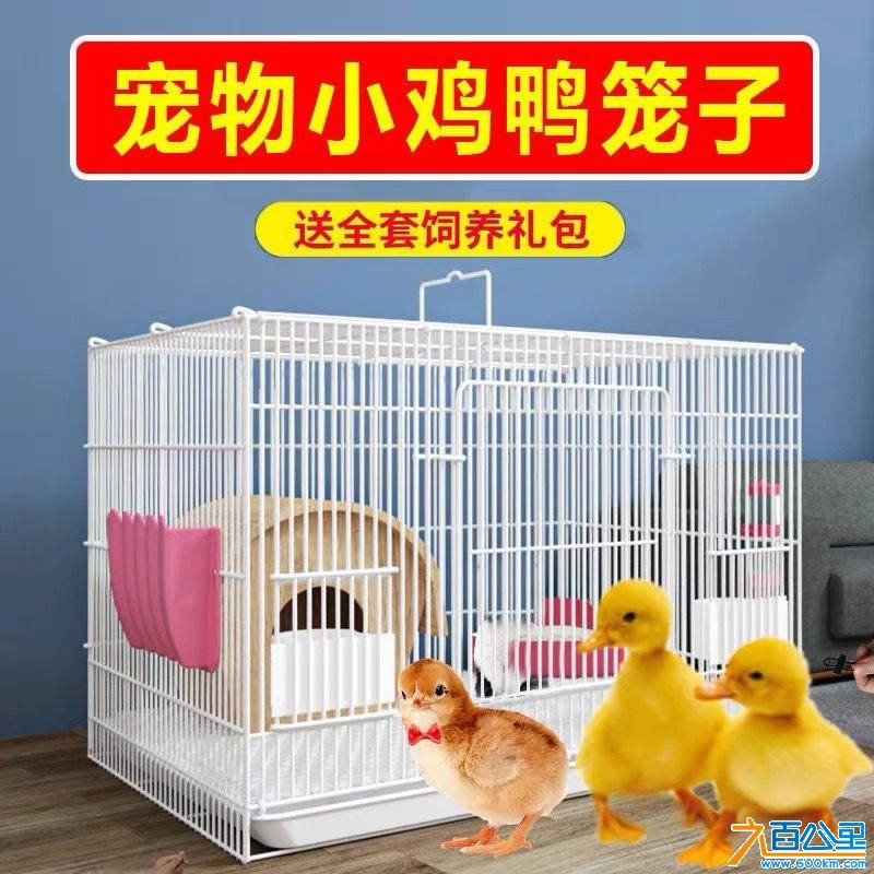 wechat_upload1749383224684578386fc40