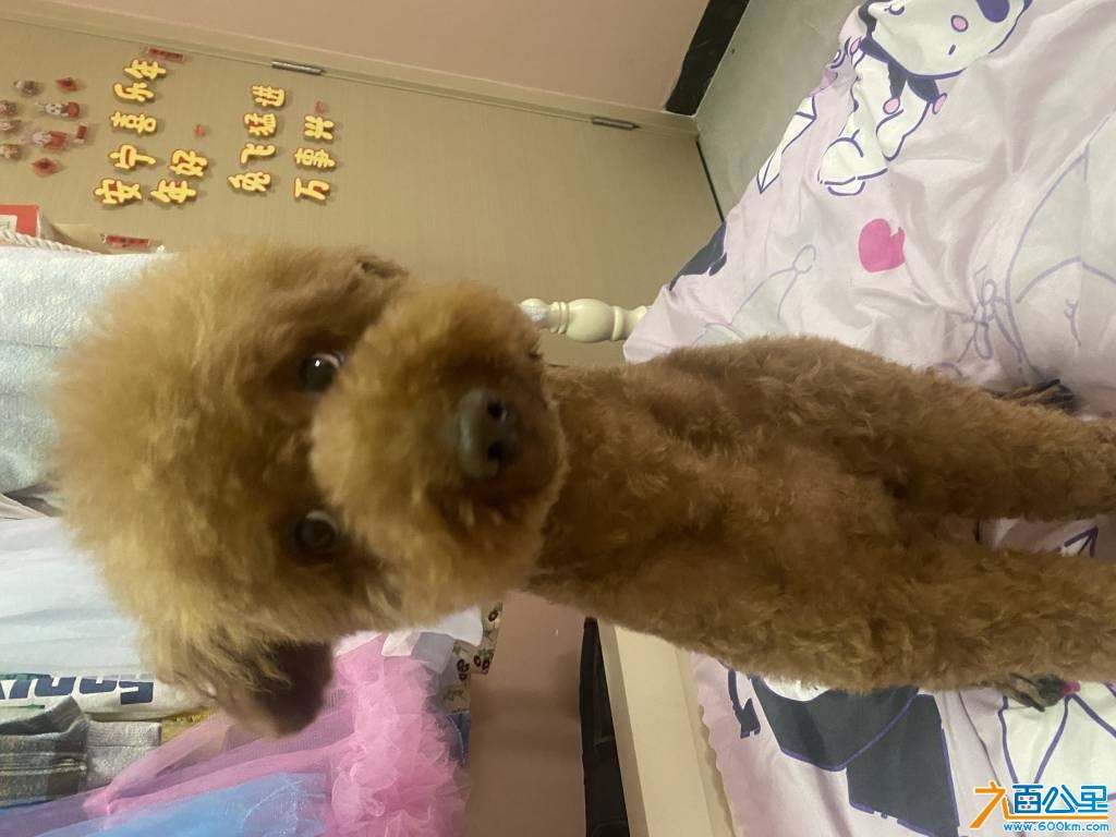 wechat_upload1749738906684ae59a99c50