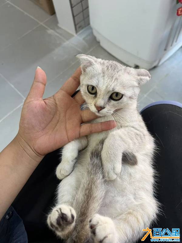 wechat_upload1751977710686d0eee1456f