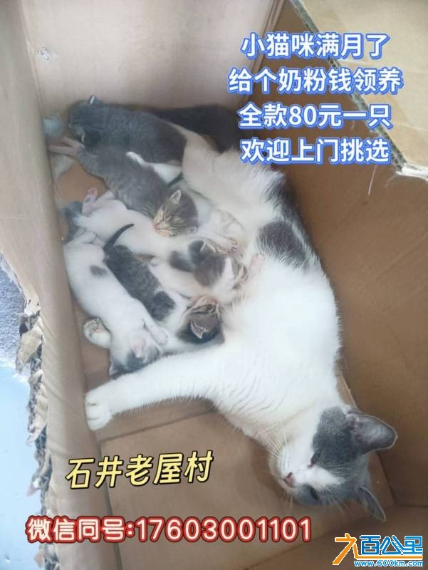 wechat_upload1753192766687f993e10bf4