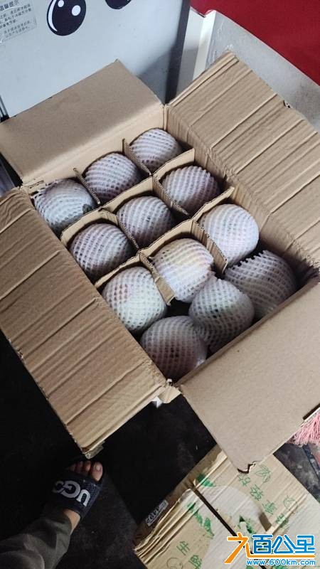 wechat_upload175474649568974e7f27351