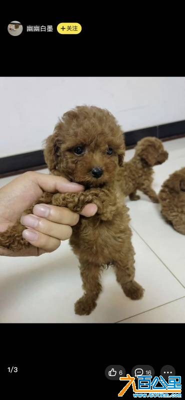 wechat_upload1754822729689878491305a