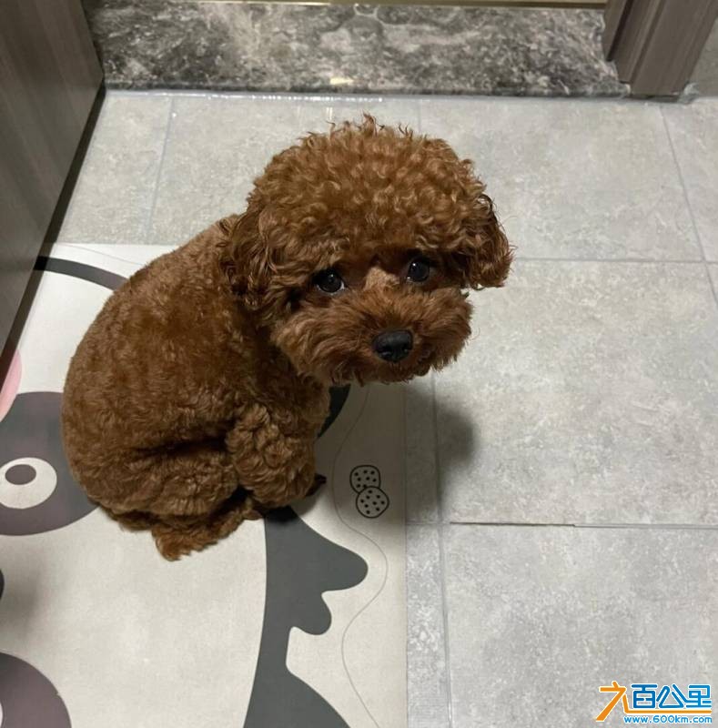 wechat_upload175482506368988167236f9