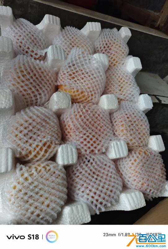 wechat_upload175551431868a305ceeeaac