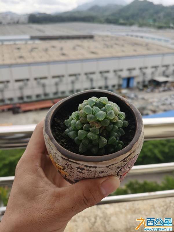 wechat_upload175573605568a667f749e90