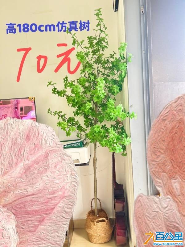 wechat_upload175587382068a8821c82f24
