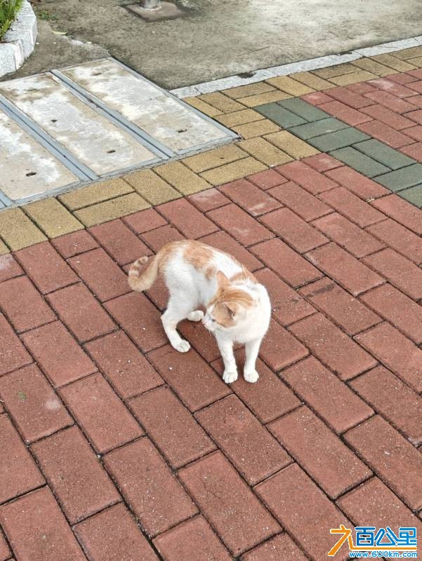 wechat_upload175737984368bf7d0305d34