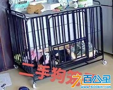 wechat_upload175999949868e7760aac907