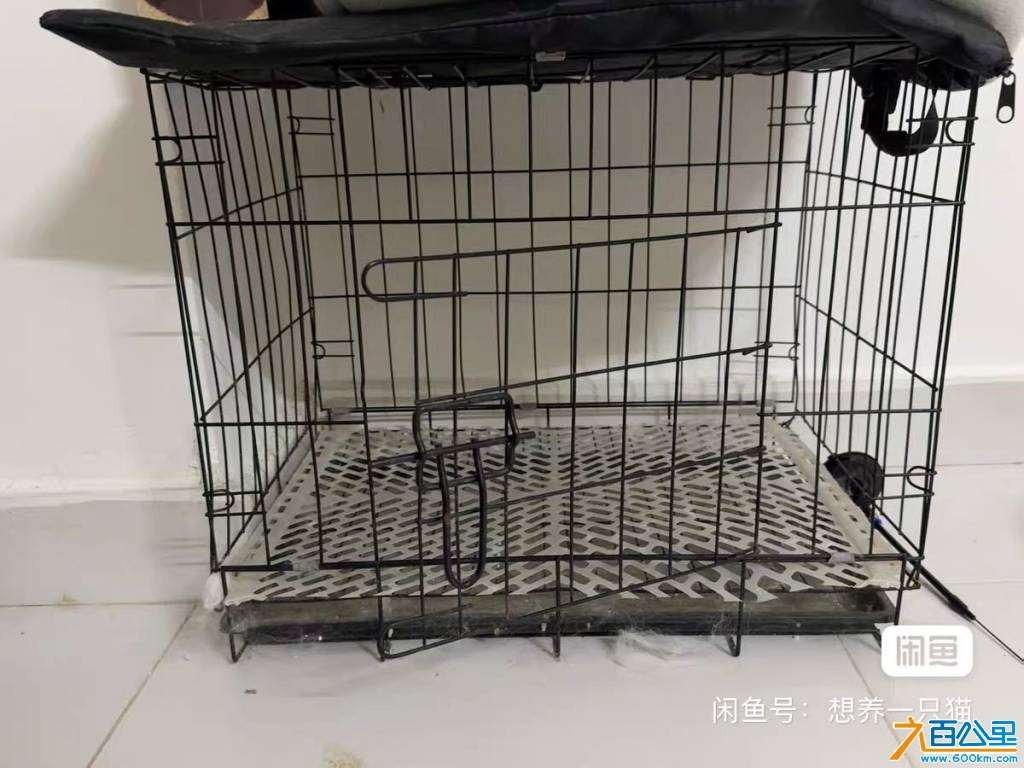 wechat_upload176032170668ec60aae9485