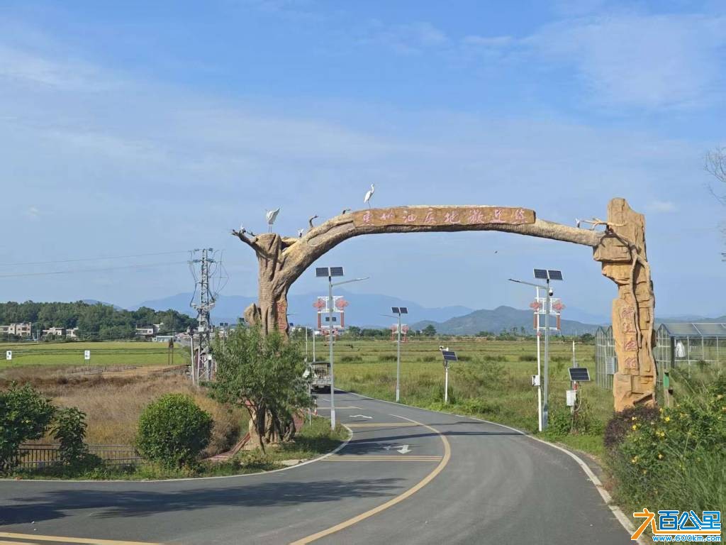 路线11.jpg