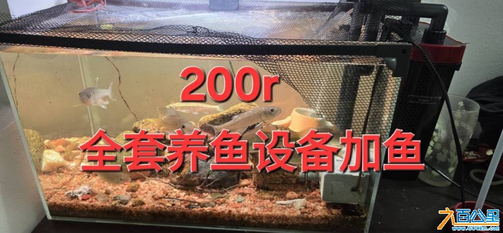 wechat_upload1762099236690780241e732