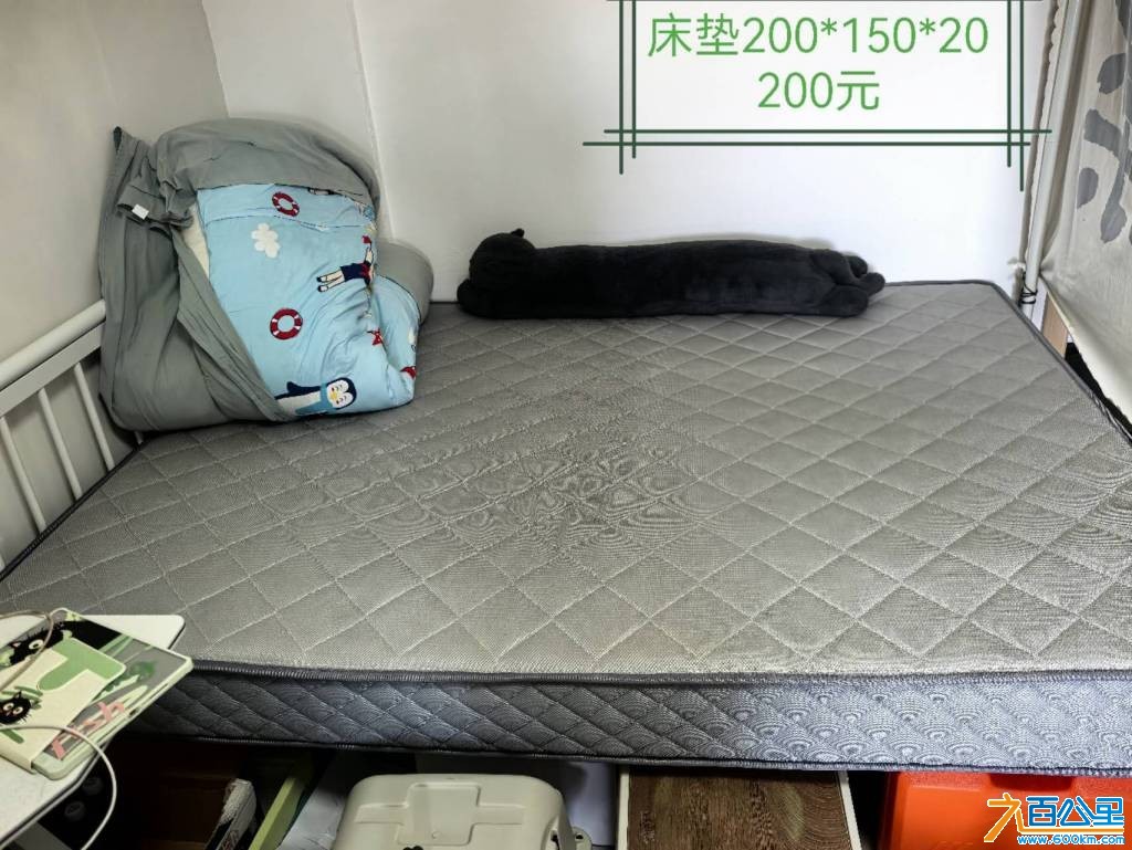 wechat_upload1762319573690adcd5170c4
