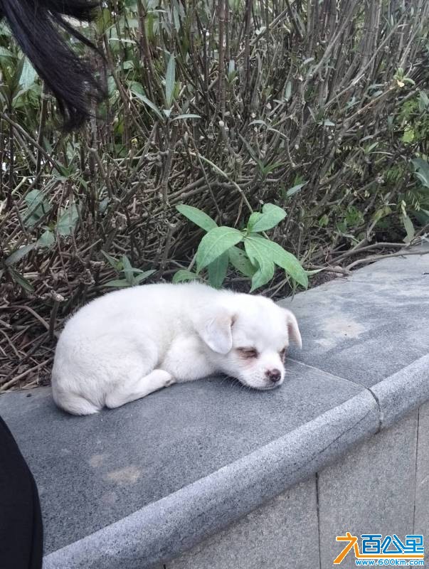 wechat_upload17630833246916843c3e908
