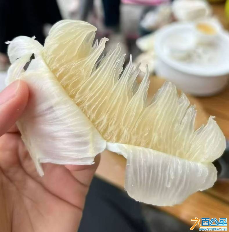 wechat_upload1763520603691d305be3b59