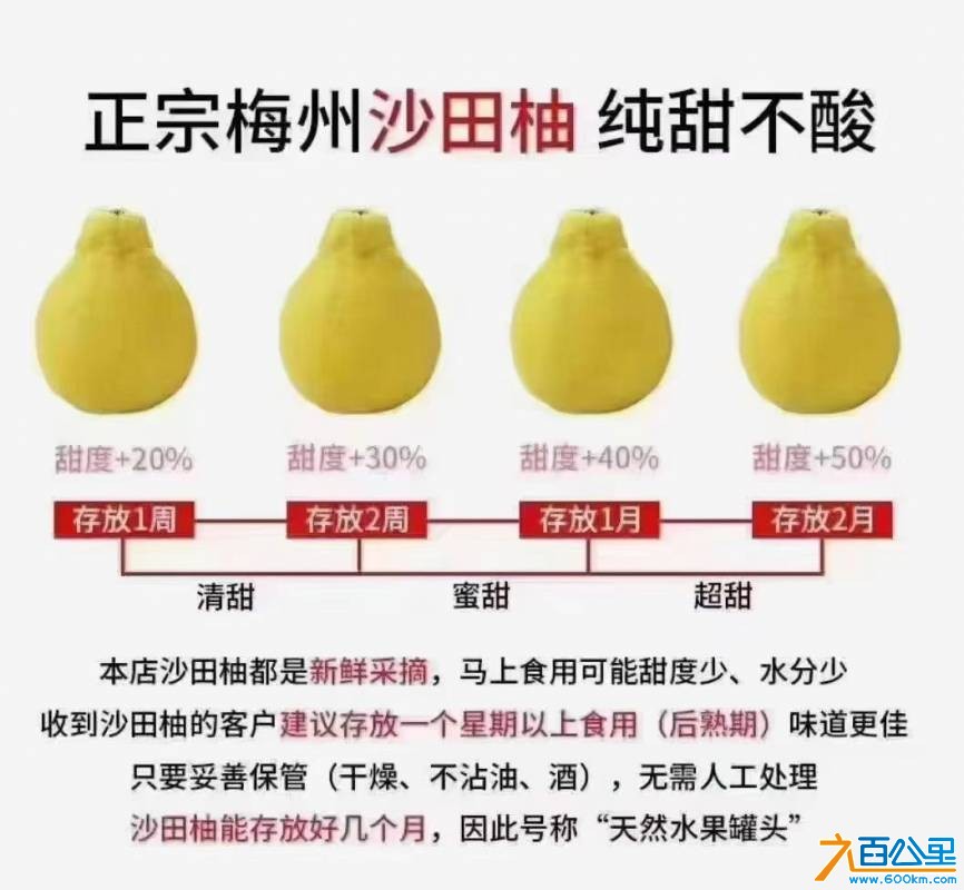 wechat_upload1763520605691d305dab525