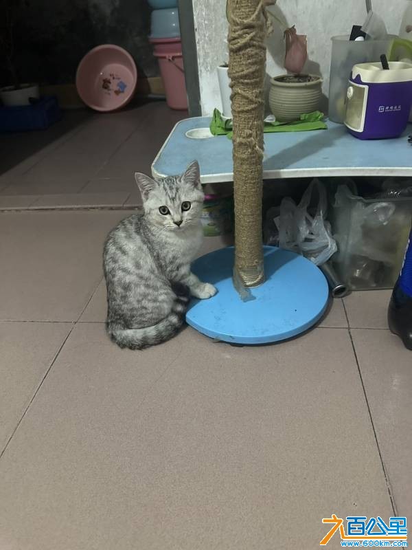 wechat_upload1764531875692c9ea388bfe