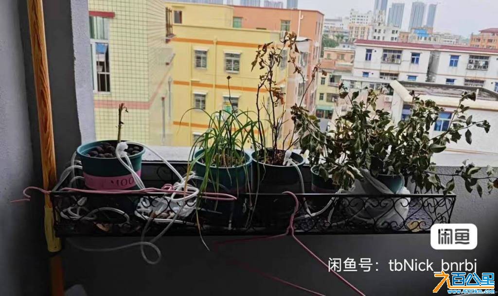 wechat_upload176518212169368aa9b7b1b