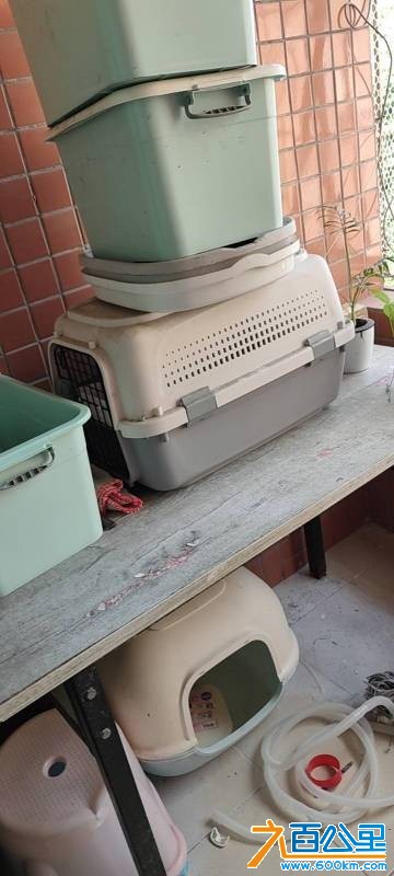 wechat_upload176629323869477ef6a7d3a