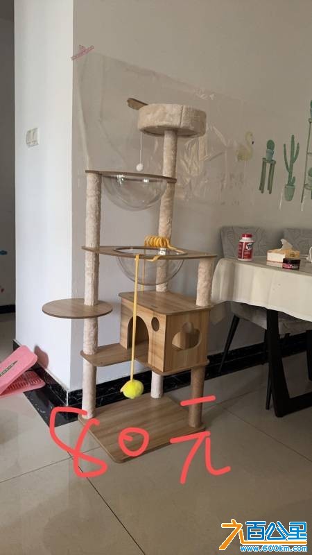 wechat_upload17802444816a1c6001722c2
