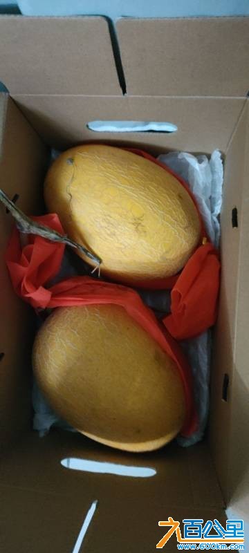 wechat_upload17815320126a30056cad21a