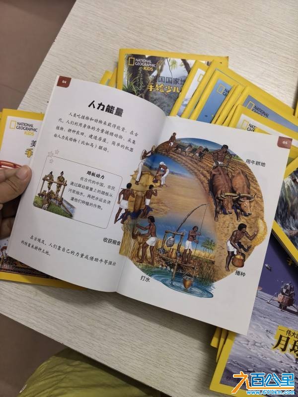 wechat_upload17833473226a4bb87ad66d8